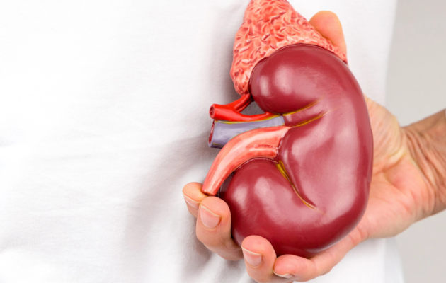 Banner de Cuidar los riñones es cuidar la vida