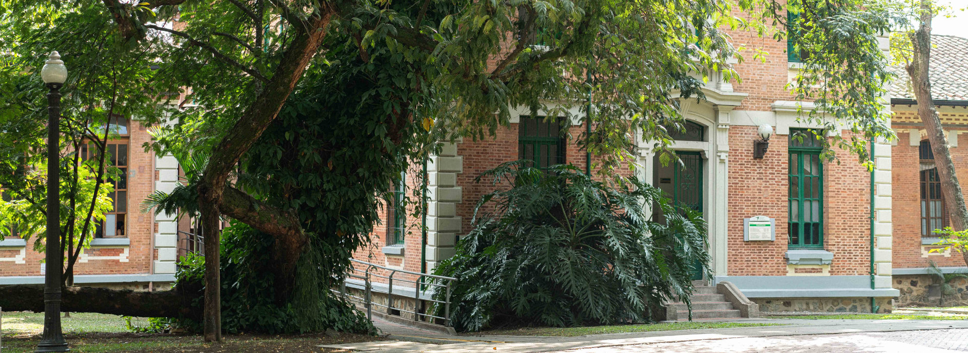 Medio Ambiente San Vicente Fundación