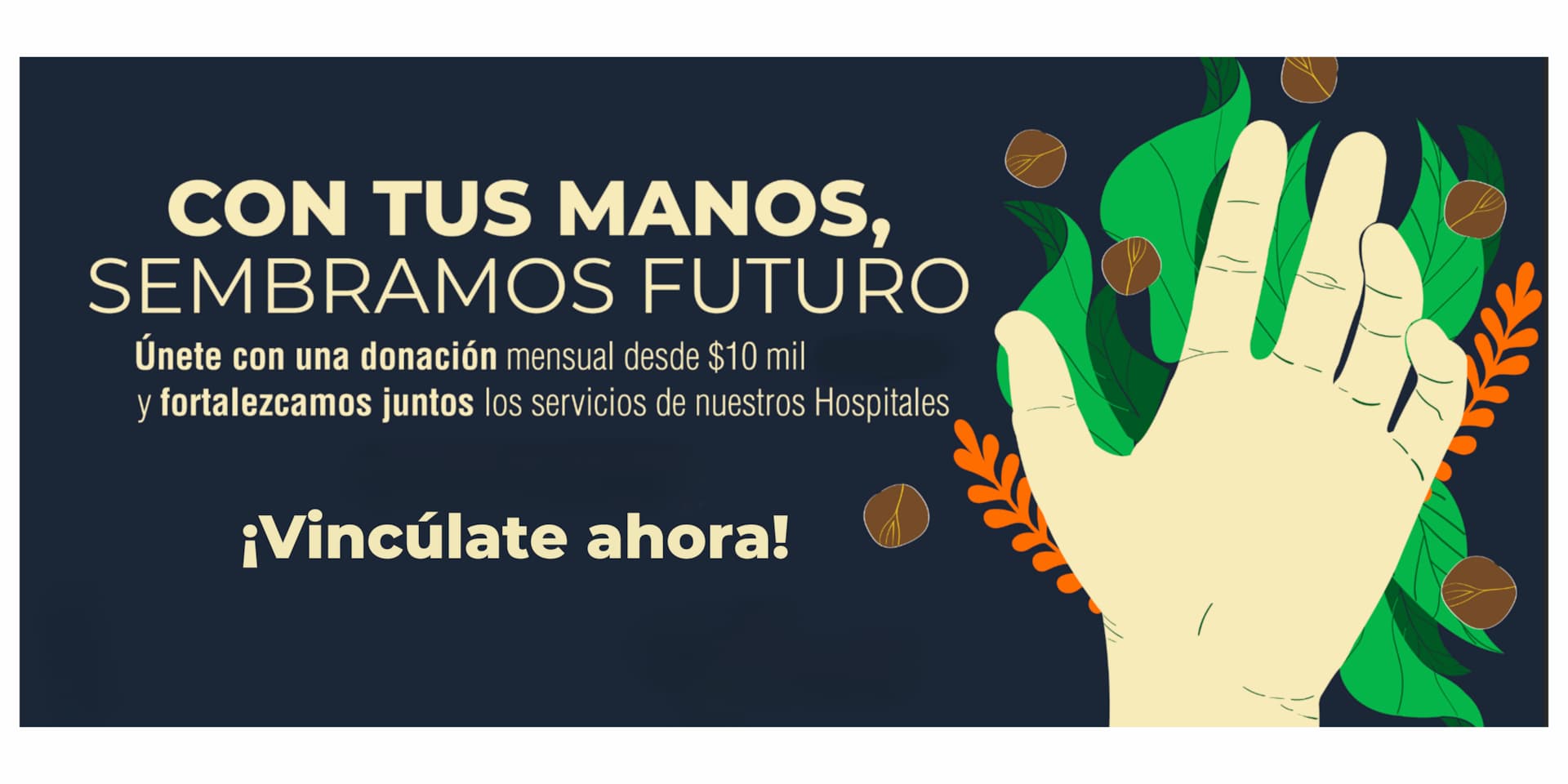 Donación mensual